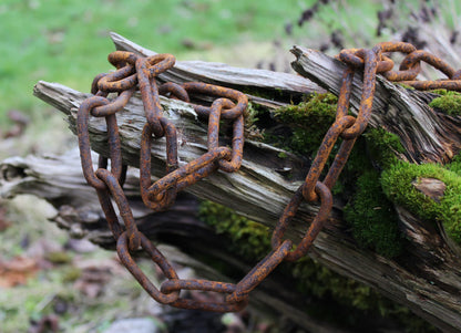 vitaliano rostige Stahlkette Gliederkette Meterware, 1 Meter bis 30 Meter, 5mm stark, Eisenkette im Antik, Retro, Vintage-Stil, als Regenablaufkette, Ringkette, Lampenkette, Deko, Metall Rost Deko für Garten - Bild 2