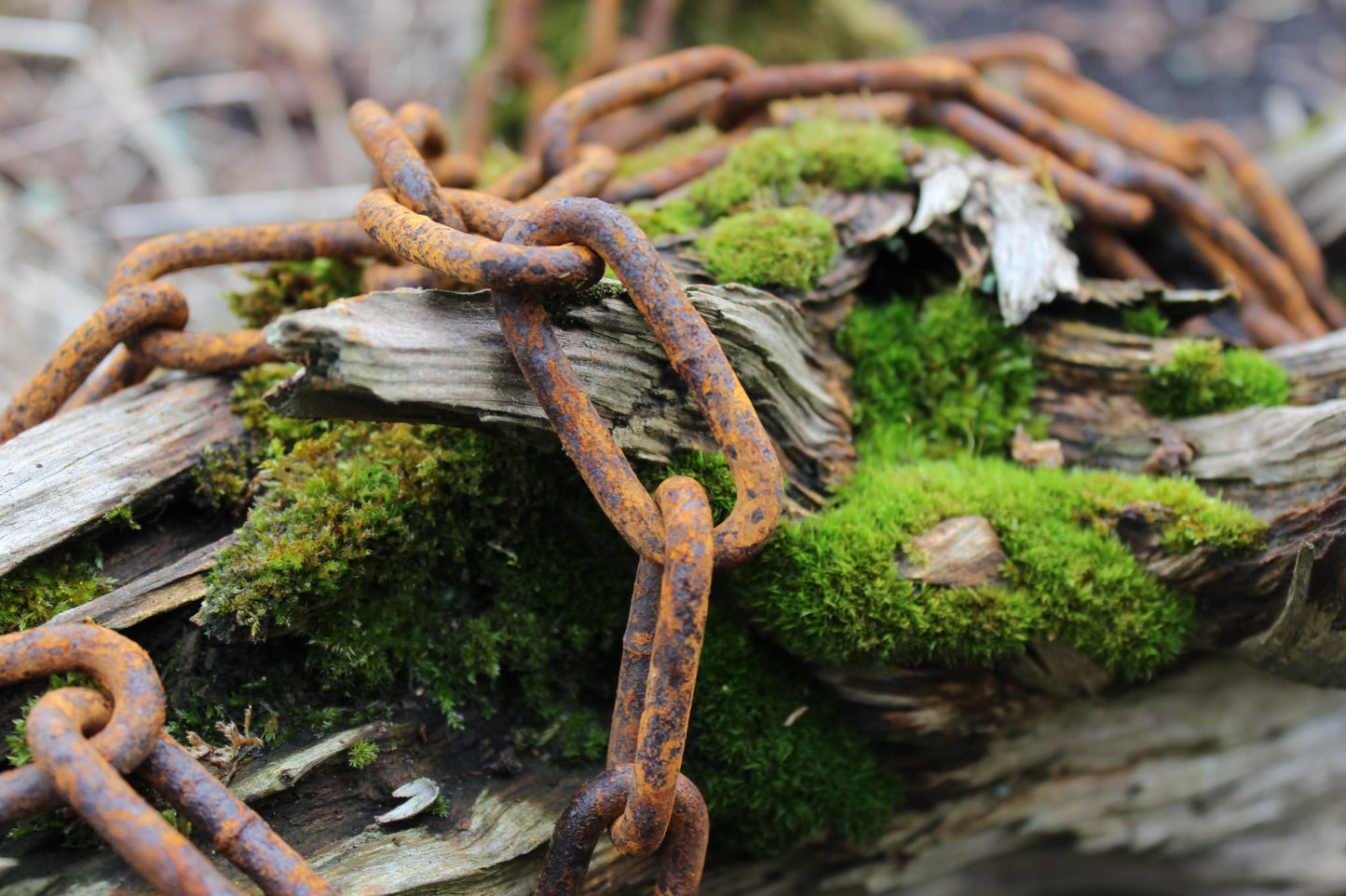 vitaliano rostige Stahlkette Gliederkette Meterware, 1 Meter bis 30 Meter, 5mm stark, Eisenkette im Antik, Retro, Vintage-Stil, als Regenablaufkette, Ringkette, Lampenkette, Deko, Metall Rost Deko für Garten - Bild 4